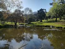 Take a stroll through Wynberg Park