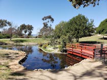 Stroll through Kenneth Hahn State Park