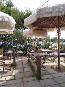 Grab a bite at Playa San Pedro