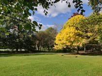 Explore Downhills Park