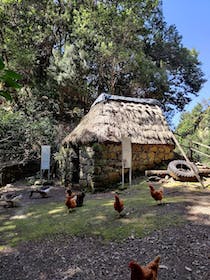 Delve into the Rota da Cal Limestone Quarry Museum