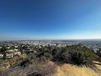 Hike and be seen in Runyon Canyon