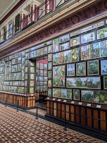 Explore the Marianne North Gallery