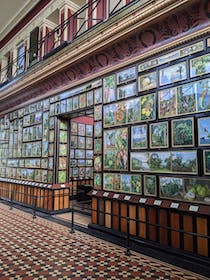 Explore the Marianne North Gallery