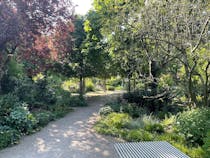 Discover Mapesbury Dell