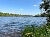 Explore Virginia Water Lake