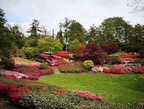 Explore the beautiful Valley Gardens