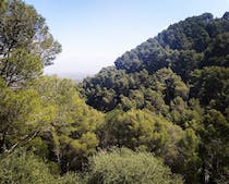 Explore Sendero Fuente Del Acebuche