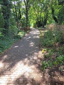 Explore Railway Fields Nature Reserve