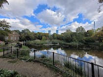 Explore Lavender Pond Nature Reserve