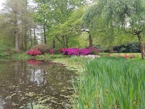 Explore the serene Woodland Gardens