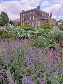 Explore Lloyd Park's Green Oasis