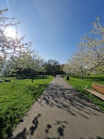 Take a stroll through Ladywell Fields