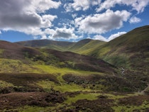 Admire the scenery at Devil's Elbow Viewpoint