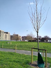 Explore Colindale Park