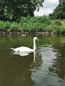 Explore the Green Oasis of Finsbury Park