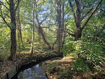 Explore Whetstone Stray