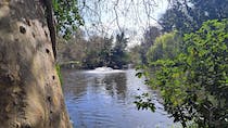 Enjoy some birdwatching at Tarn Bird Sanctuary