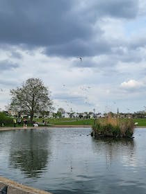 Relax at Prince of Wales Pond