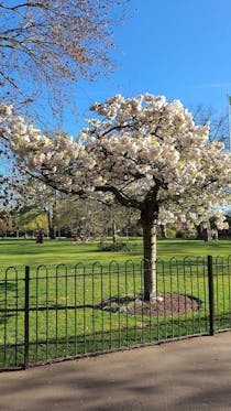 Explore the Natural Beauty of West Ham Park