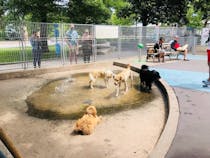 Let your furry friends run free at the Leory Street Dog Run