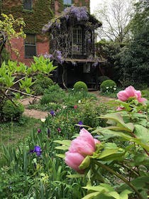 Take a Breather in Enchanting 6BC Botanical Garden