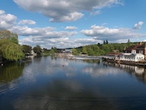 Relax at Higginson Park by the River Thames