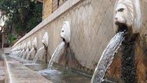 Take a photo at the distinctive Lion Fountain