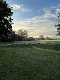 Explore the Tranquil Beauty of Lea Bridges Park