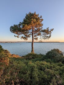 Enjoy the Sunset at Evening Hill