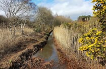 Explore Luscombe Valley Nature Reserve