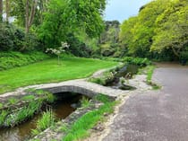 Explore the Tranquil Beauty of Branksome Chine Gardens