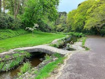 Explore the Tranquil Beauty of Branksome Chine Gardens