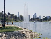 Paddle along in a swan boat at Echo Park