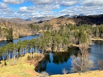 Explore the stunning Tarn Hows