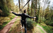 Experience the treetop challenge at Go Ape Grizedale