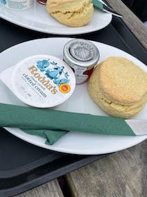 Enjoy a spot of tea at Sandleigh Tea Room & Garden