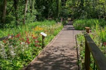 Explore Fairhaven Woodland & Water Garden