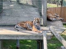 Explore Thrigby Hall Wildlife Gardens