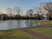 Explore the beautiful Barrow Park