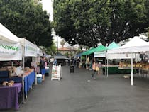 Head to a Helen Albert Certified Farmer’s Market