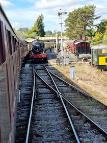 Ride the Cheltenham Racecourse Steam Train