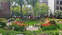 Wander around West Side Community Garden