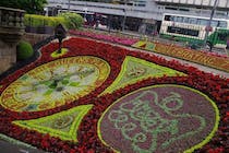 Explore the Floral Clock