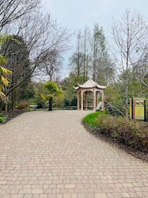 Explore the serene Chinese Hillside