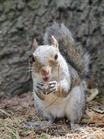 Explore Fisherman's Walk Park