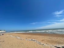 Enjoy a beach day along St. Mary's Bay Beach & Cliffs