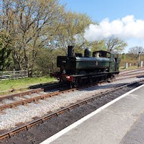 Ride the South Devon Railway