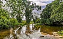 Explore the Tranquil Beauty of Shotesham Ford