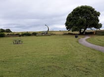 Explore The Maer's Lush Meadows